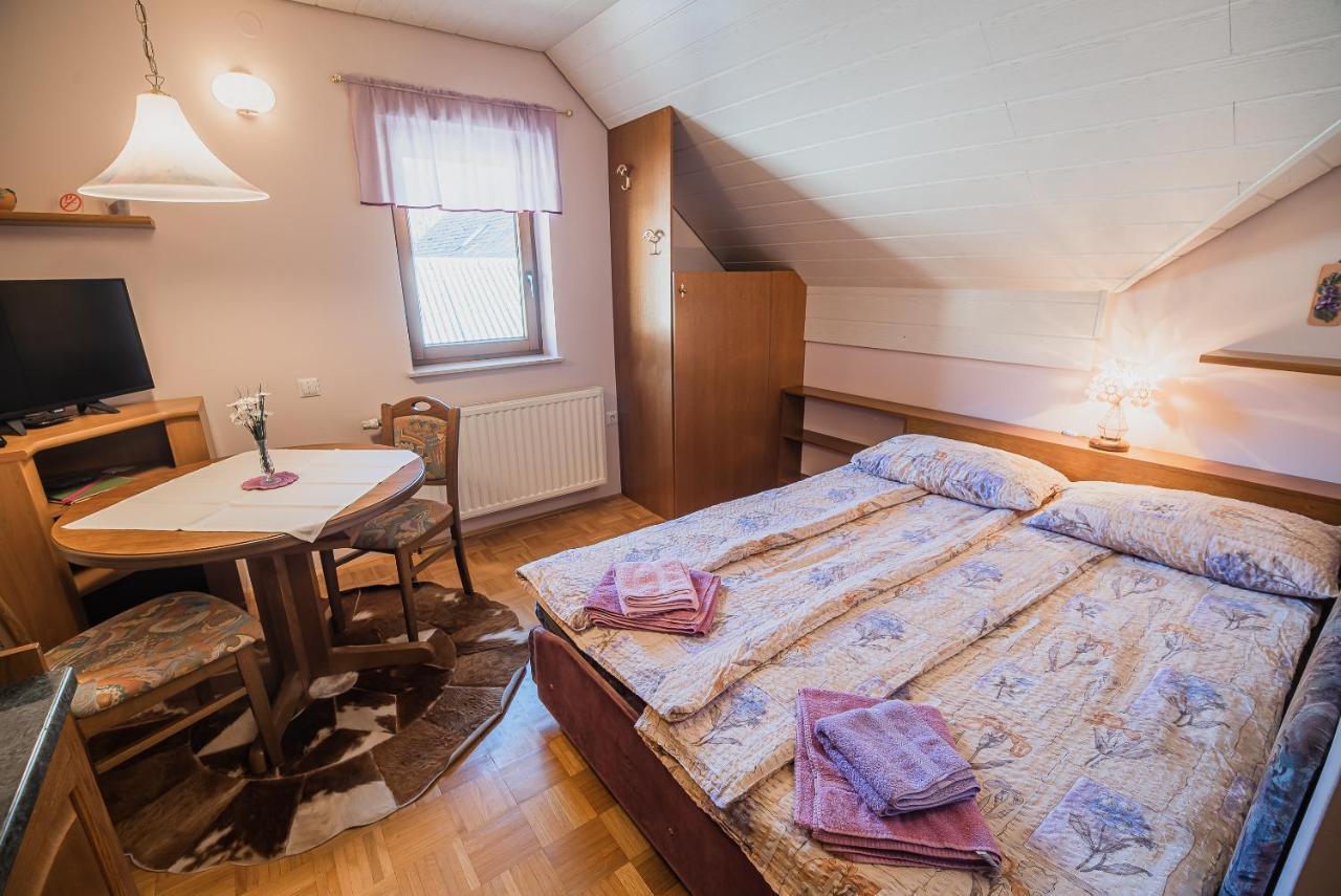 Homestay Kocka Zgornje Jezersko Exterior foto